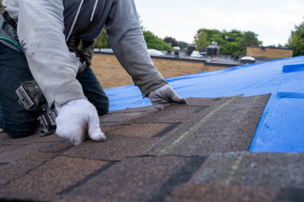 Quick and Trustworthy Emergency Roof Repair Services in Camanche North Shore, CA